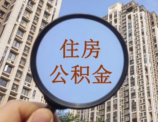 泗阳退休后查不到公积金明细了吗（退休后公积金查询不到原因）